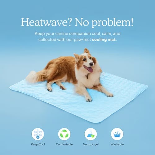 🔥Hot Sale 49% OFF 🧊Dog Cooling Mat (4x more effective)