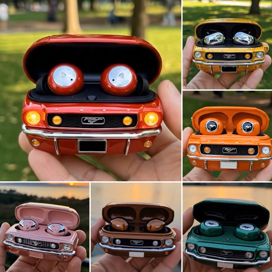 Car earphone case