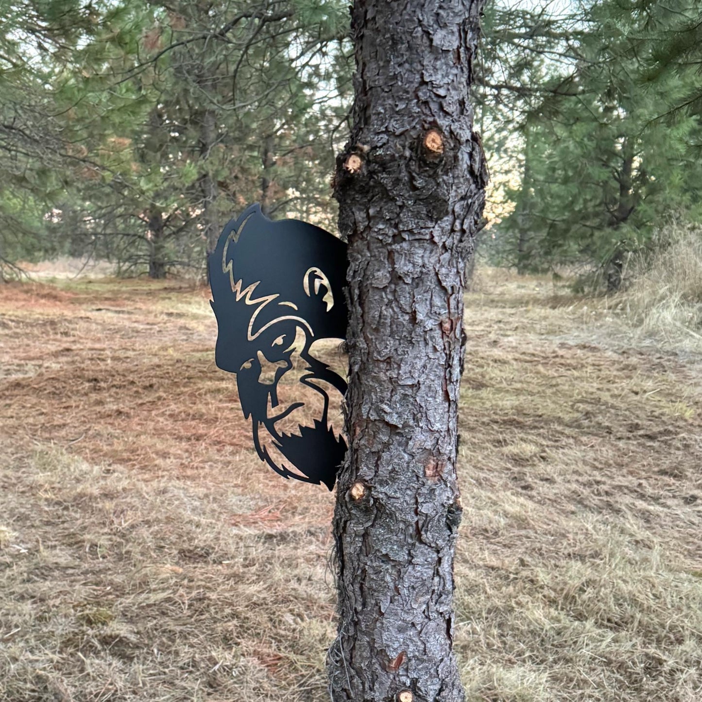 😂Middle Finger Peek-a-Boo Flipping Off Metal Sign