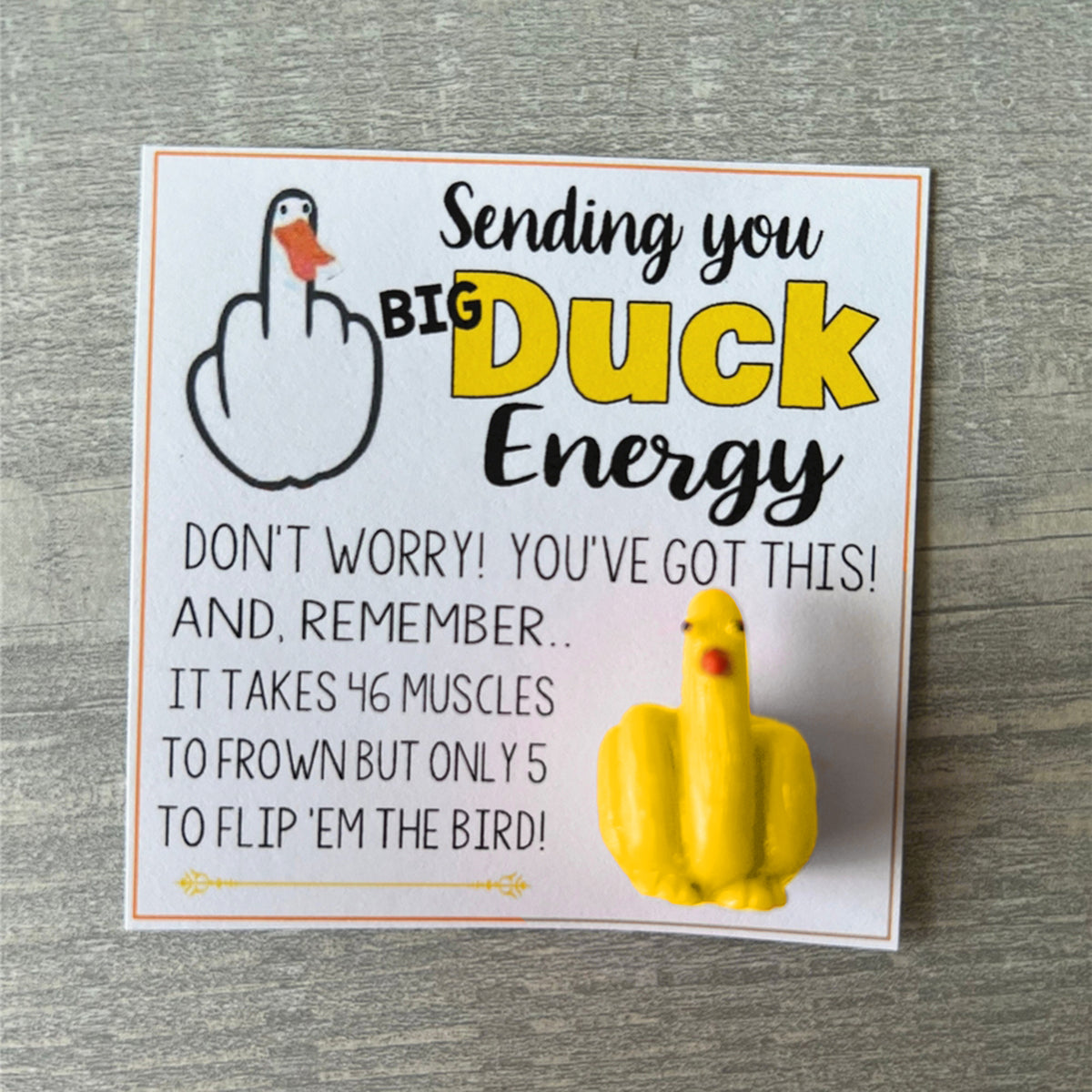 🤣Funny Middle Finger Duck Lucky Charm Gift🤣