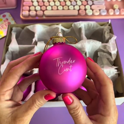 🤣Funny Christmas Ornament✨