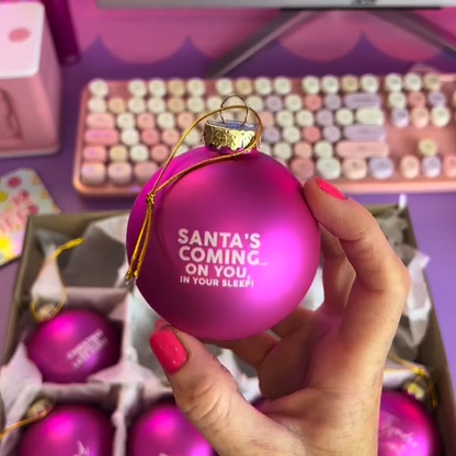 🤣Funny Christmas Ornament✨