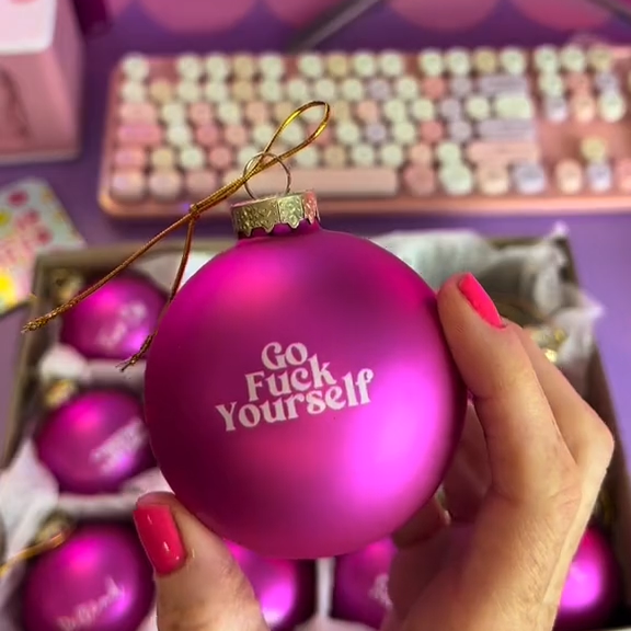 🤣Funny Christmas Ornament✨