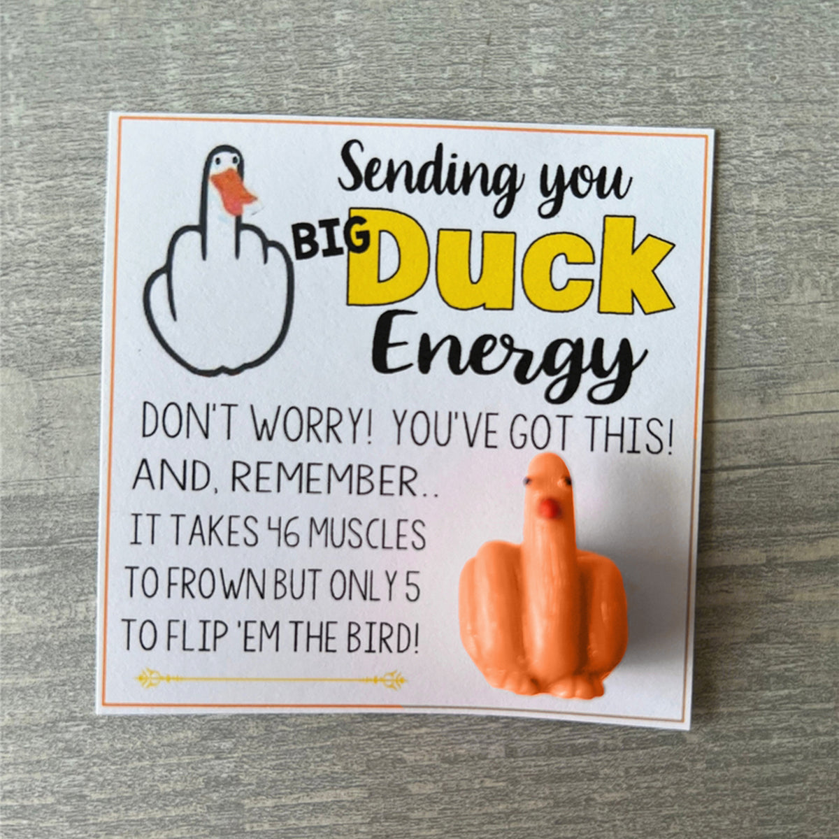 🤣Funny Middle Finger Duck Lucky Charm Gift🤣