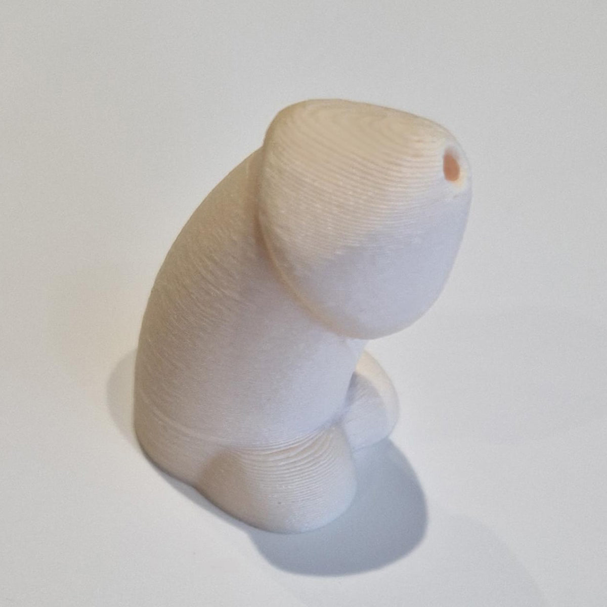 🤣 Hilarious "Surprise Squirt" Penis Toothpaste Dispenser