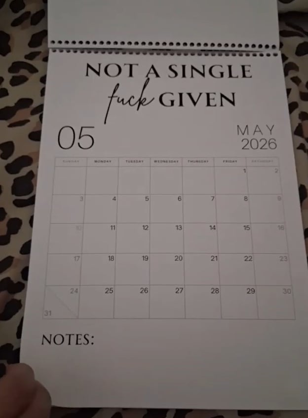 😂Fuck It 2026 Spiral Bound Wall Calender📆