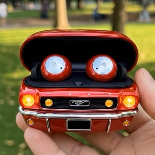 Car earphone case