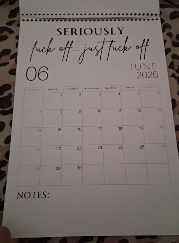😂Fuck It 2026 Spiral Bound Wall Calender📆