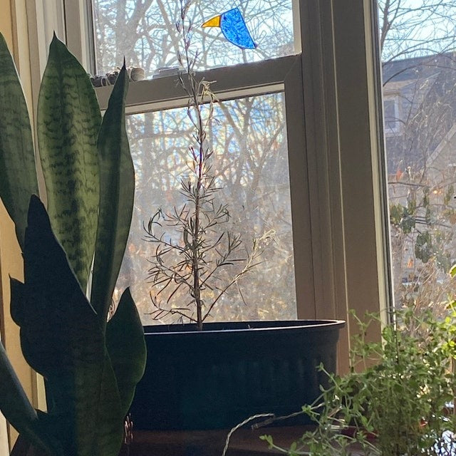 🦜Colorful Baby Bird Decorations