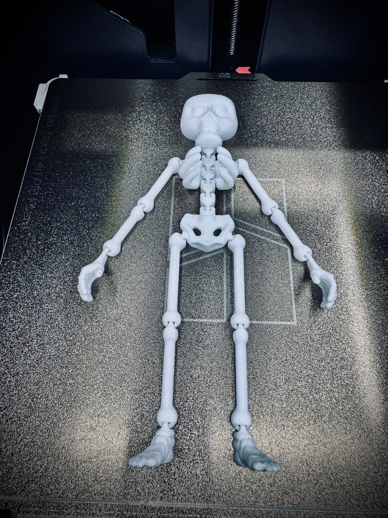💀Flexible 3D Skeleton Man