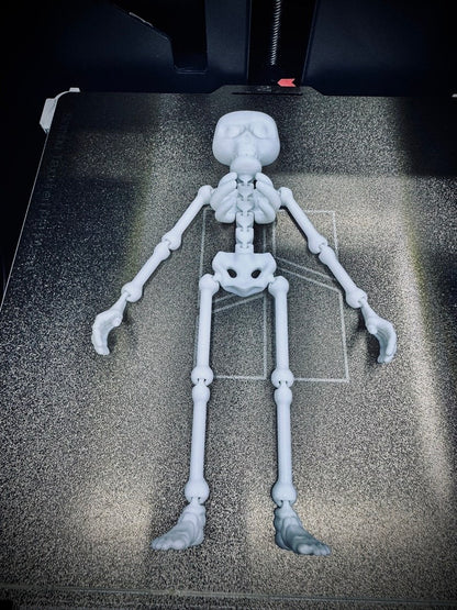 💀Flexible 3D Skeleton Man