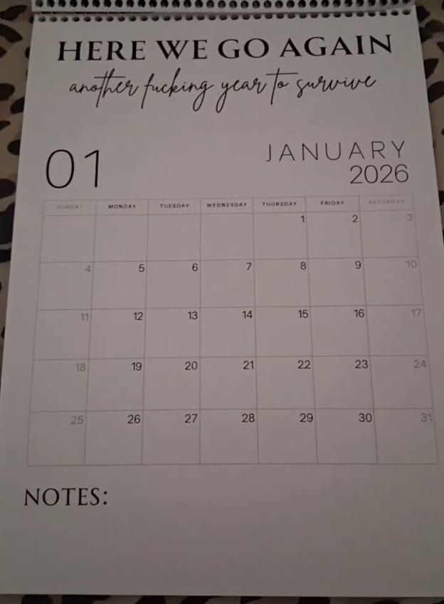 😂Fuck It 2026 Spiral Bound Wall Calender📆
