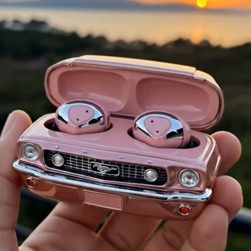 Car earphone case