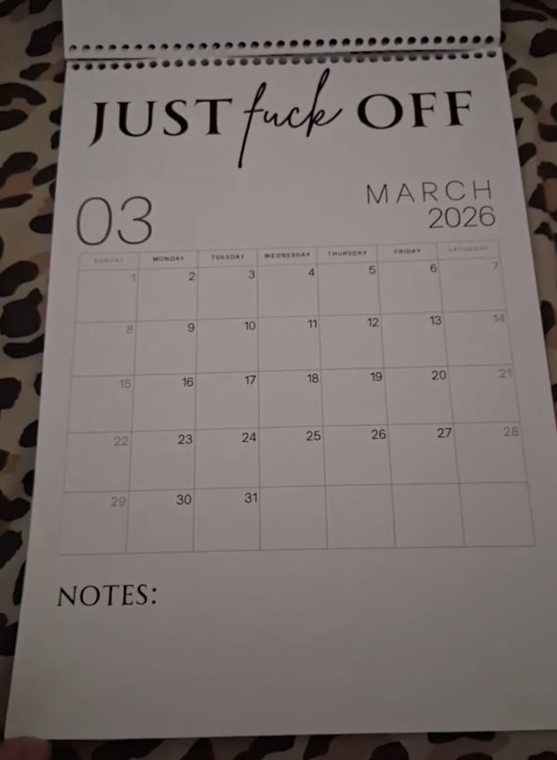 😂Fuck It 2026 Spiral Bound Wall Calender📆