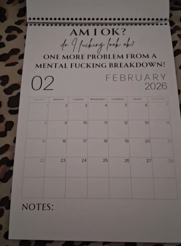 😂Fuck It 2026 Spiral Bound Wall Calender📆