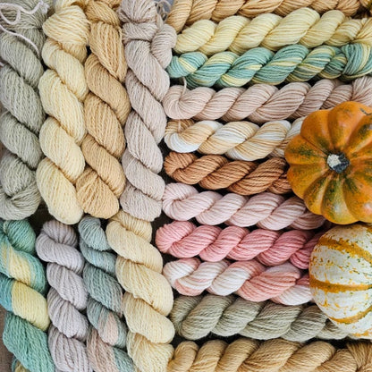 🧶2024 Wool Advent Calendar