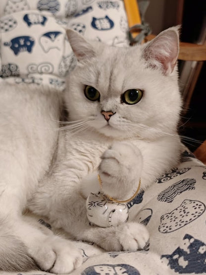 Fur-ever Loved Cat Hair Memorial Pendant