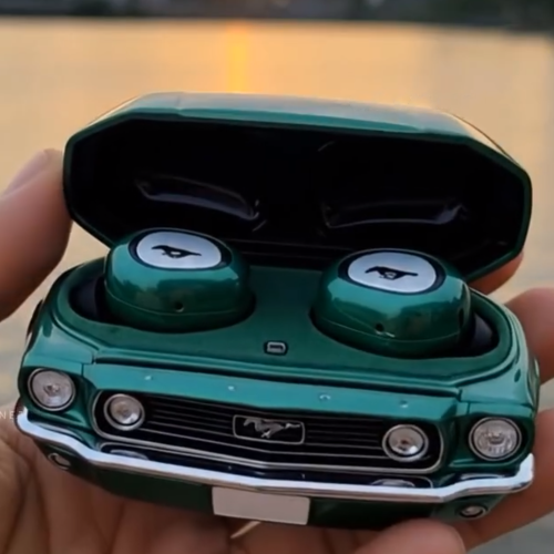 Car earphone case