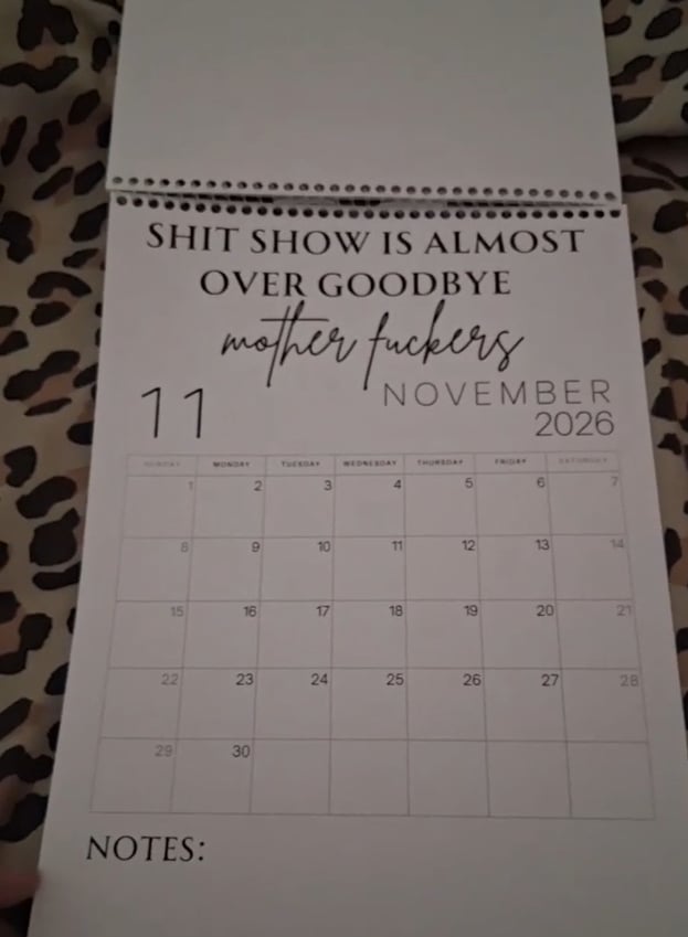 😂Fuck It 2026 Spiral Bound Wall Calender📆