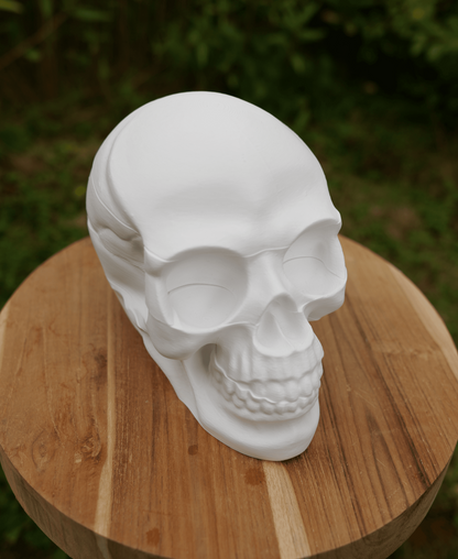Candy Skull Candy Storage for Halloween