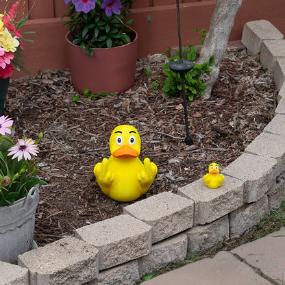 🔥Last Day Hot Sale 50% - 🤣Funny Middle Finger Ducks🖕