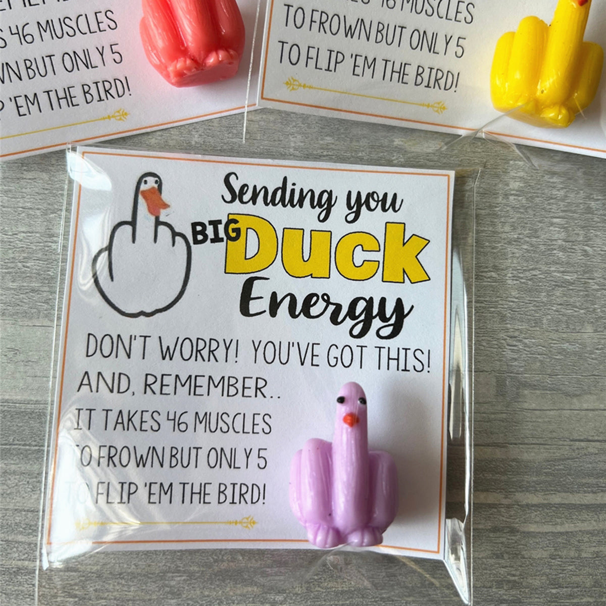 🤣Funny Middle Finger Duck Lucky Charm Gift🤣