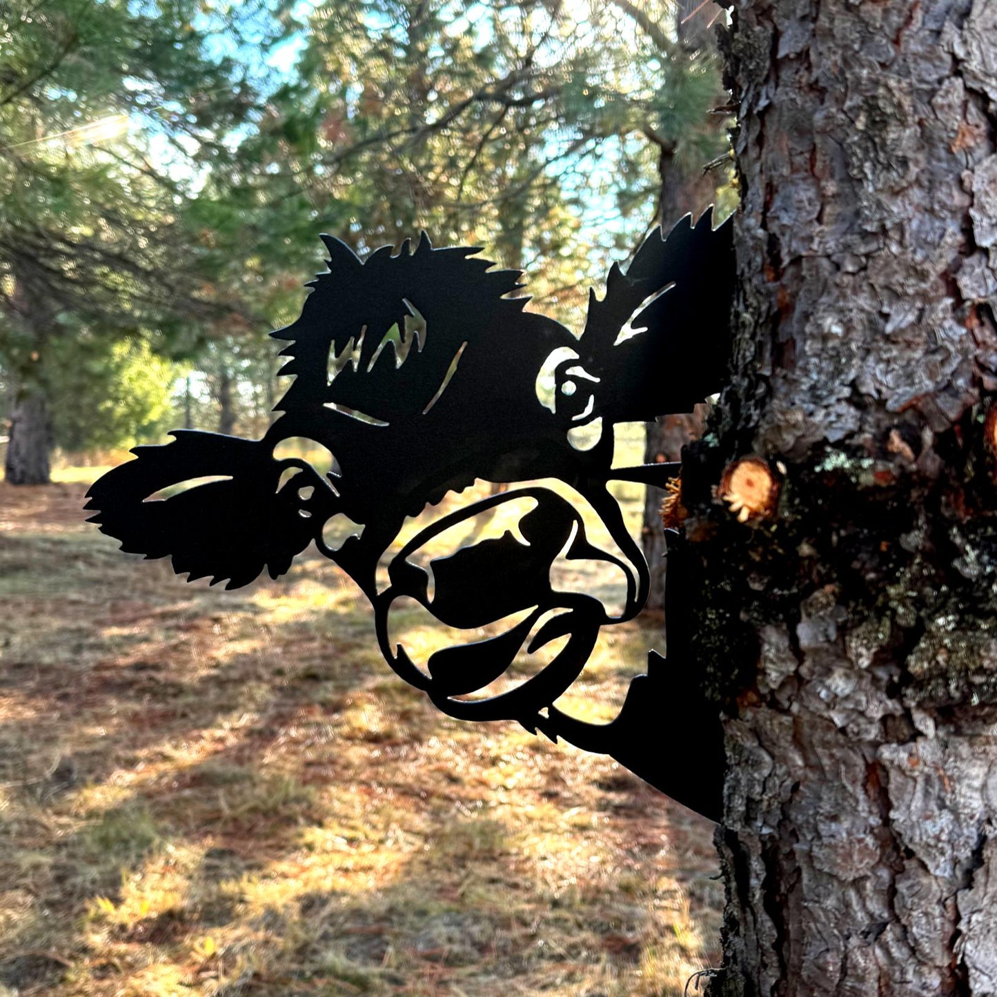 😂Middle Finger Peek-a-Boo Flipping Off Metal Sign