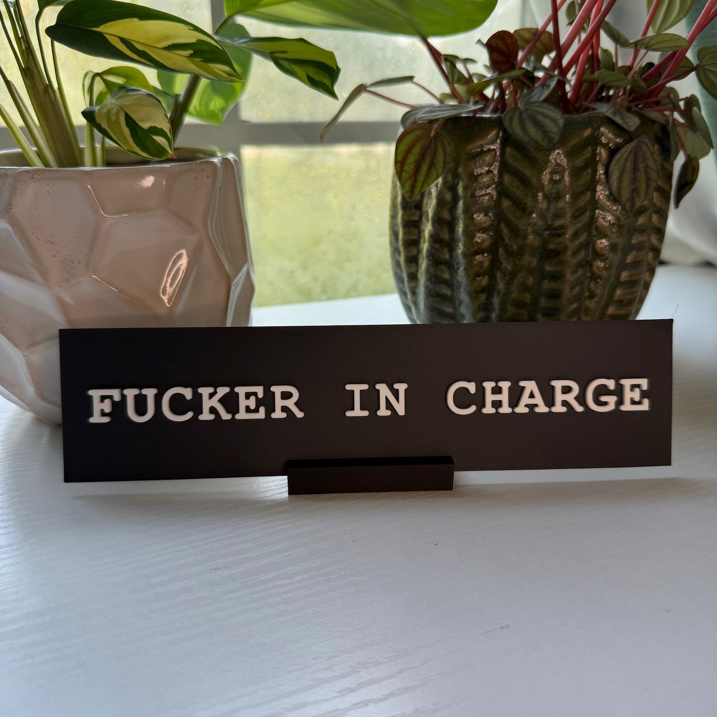 🔥This Week's Special Offer 49% OFF🔥 -Fucker In Charge Desk Nameplate