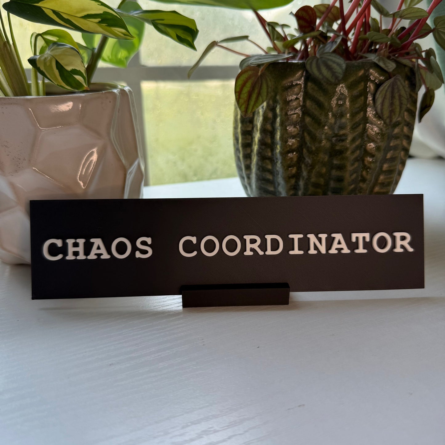 🔥This Week's Special Offer 49% OFF🔥 -Fucker In Charge Desk Nameplate