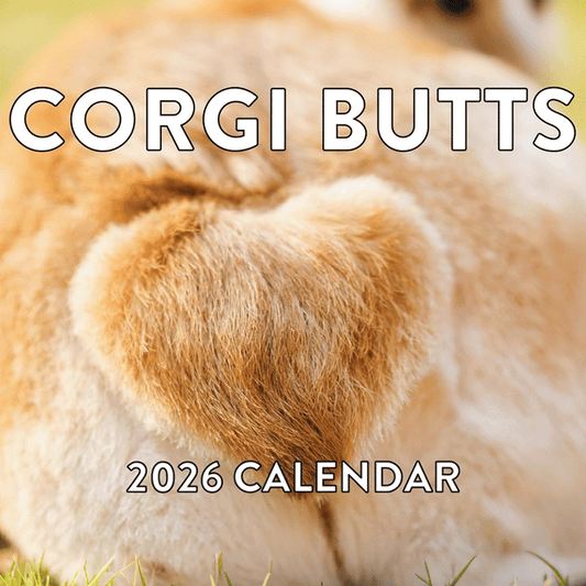 Corgi Butt Calendar 2026