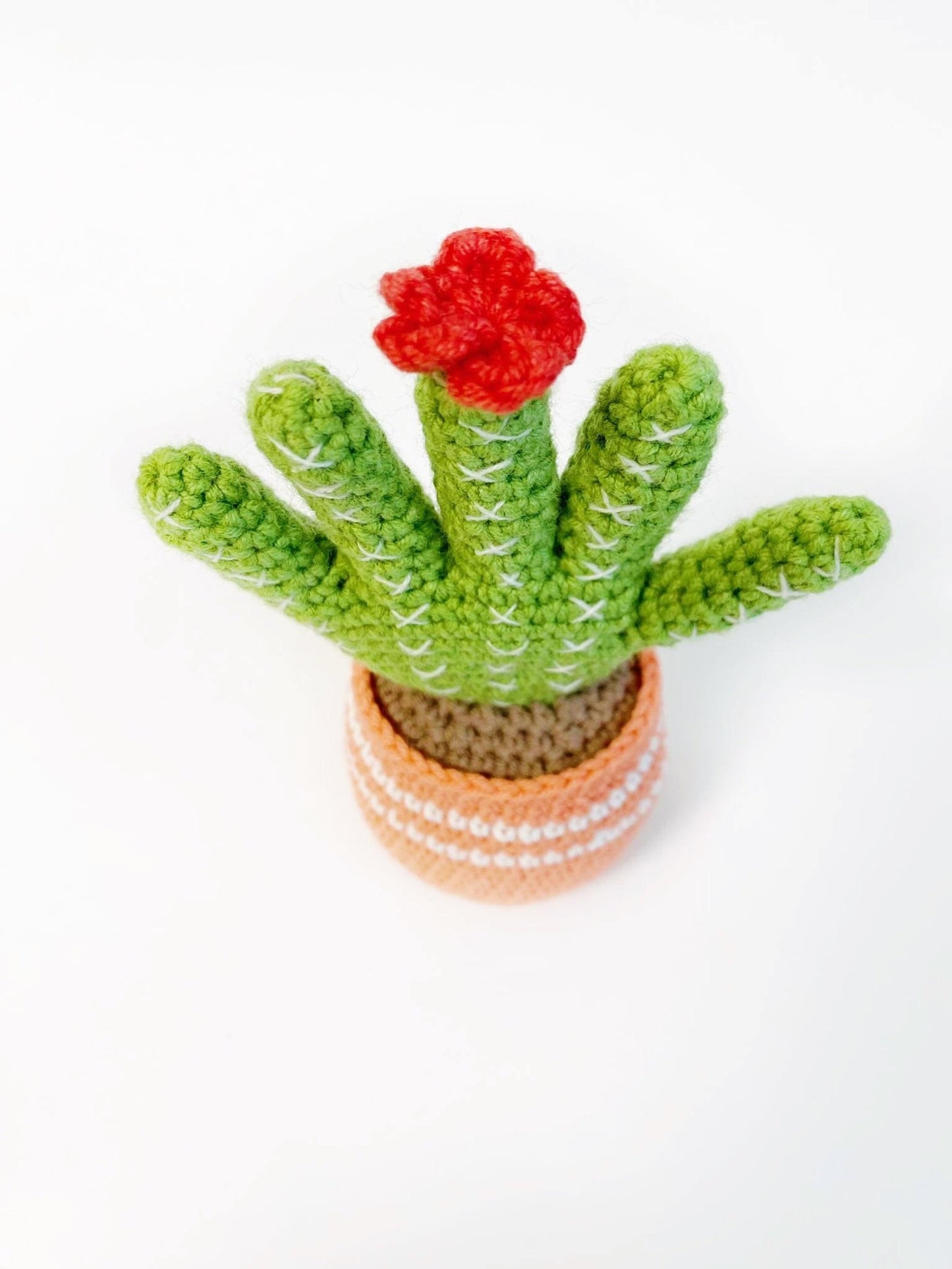 🤣Funny Cactus With Movable Fingers