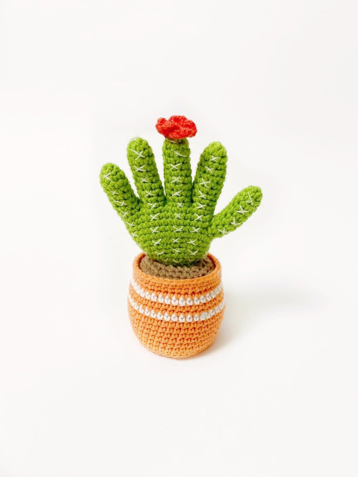 🤣Funny Cactus With Movable Fingers