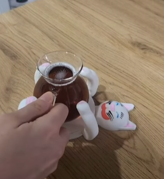 🐱3d Print Cat Coasters🐱